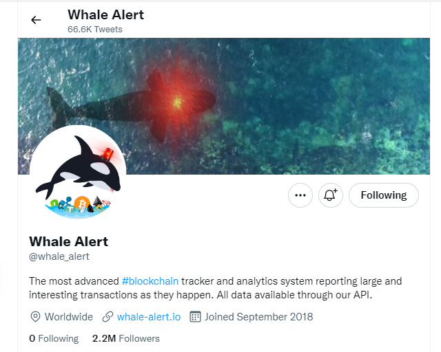 حساب کاربری توئیتر whale_alert