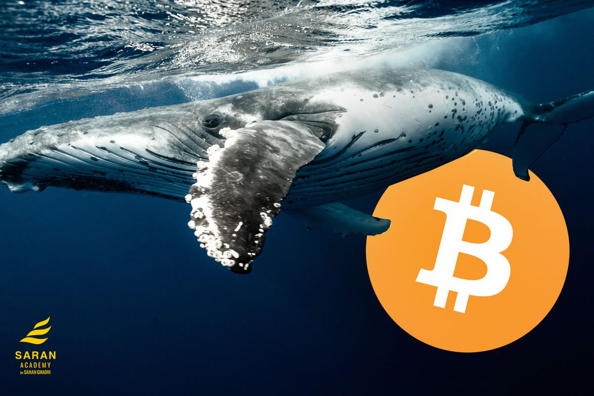 انتقال 46 هزار بیت کوین توسط یک نهنگ ناشناس